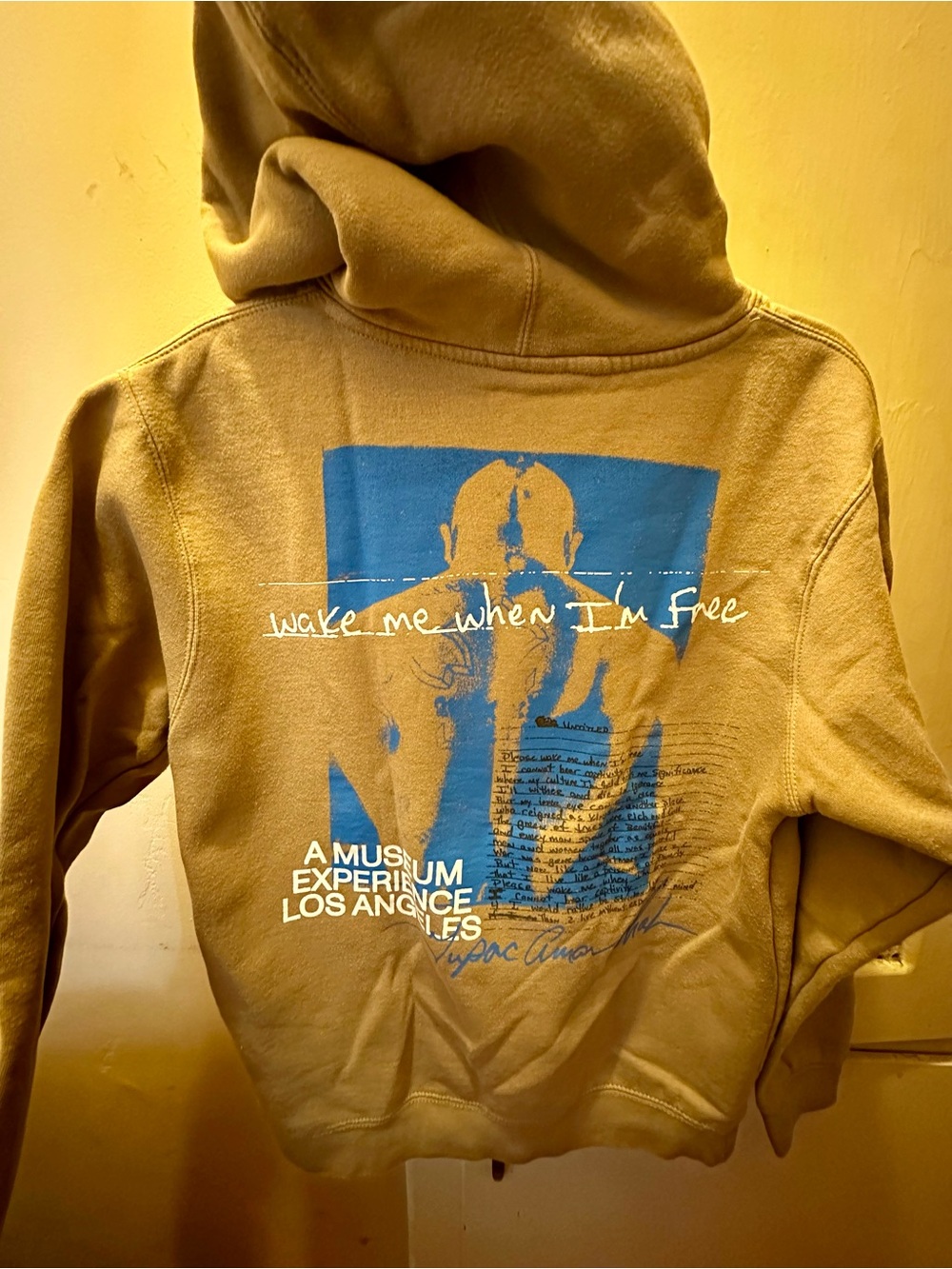 Tupac Hoodie - 'Wake Me When I'm Free'